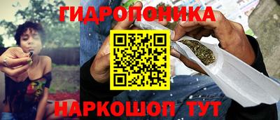 дмт Новокубанск