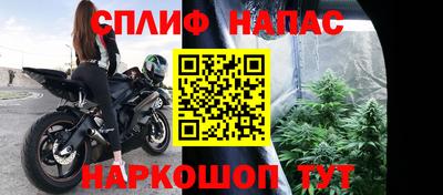 дмт Новокубанск