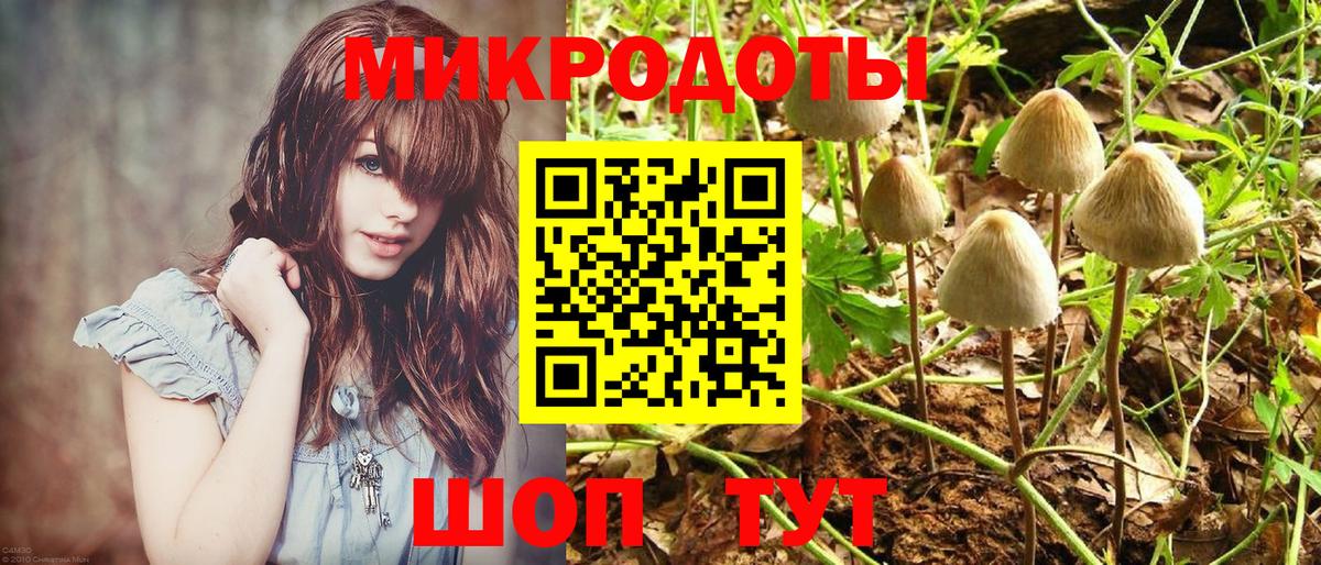 Славянск-на-Кубани  Псилоцибиновые грибы прущие грибы  Псилоцибиновые грибы Magic Shrooms  Вход с VPN 